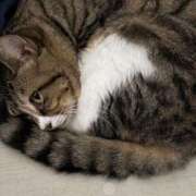 ヒメ日記 2025/07/04 00:17 投稿 ましろ リッチドールフェミニン