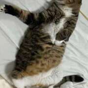 ヒメ日記 2025/07/09 10:47 投稿 ましろ リッチドールフェミニン