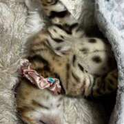 ヒメ日記 2025/07/11 13:07 投稿 ましろ リッチドールフェミニン