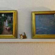 ヒメ日記 2025/07/12 08:17 投稿 ましろ リッチドールフェミニン