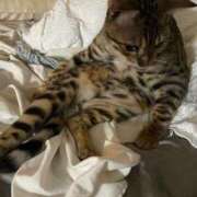 ヒメ日記 2025/07/24 21:37 投稿 ましろ リッチドールフェミニン