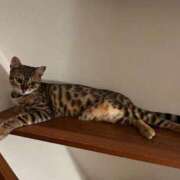 ヒメ日記 2025/08/13 08:37 投稿 ましろ リッチドールフェミニン