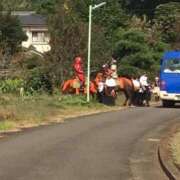 ヒメ日記 2025/08/16 02:37 投稿 ましろ リッチドールフェミニン