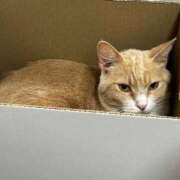 ヒメ日記 2025/08/29 13:37 投稿 ましろ リッチドールフェミニン