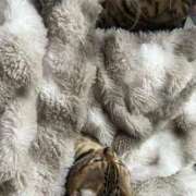 ヒメ日記 2025/11/22 11:27 投稿 ましろ リッチドールフェミニン