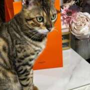 ヒメ日記 2026/02/22 16:10 投稿 ましろ リッチドールフェミニン