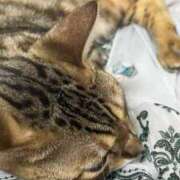 ましろ 大変申し訳ございません💦 リッチドールフェミニン