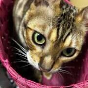 ヒメ日記 2026/04/03 08:57 投稿 ましろ リッチドールフェミニン