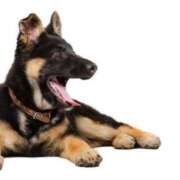 ヒメ日記 2025/03/24 15:22 投稿 みつき Beppin house