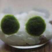 ヒメ日記 2025/03/29 10:50 投稿 みつき Beppin house