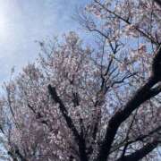 ヒメ日記 2025/03/29 12:47 投稿 りか if(イフ) 中村店