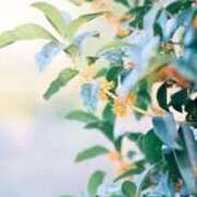 ヒメ日記 2025/07/30 18:09 投稿 このは（超絶可愛い・スレンダー） ソープランド ラ・メイド neo