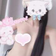 ヒメ日記 2025/05/02 17:49 投稿 うさぎ 無敵YOKOHAMA