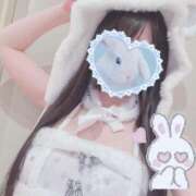 ヒメ日記 2025/05/10 15:14 投稿 うさぎ 無敵YOKOHAMA