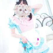 ヒメ日記 2025/05/16 10:02 投稿 うさぎ 無敵YOKOHAMA