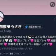 ヒメ日記 2025/06/20 10:45 投稿 うさぎ 無敵YOKOHAMA