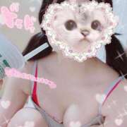 ヒメ日記 2025/07/18 08:30 投稿 うさぎ 無敵YOKOHAMA