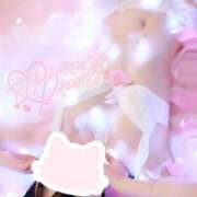 ヒメ日記 2025/08/11 21:15 投稿 うさぎ 無敵YOKOHAMA