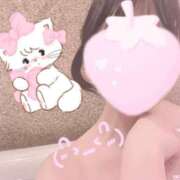 ヒメ日記 2025/09/13 21:06 投稿 うさぎ 無敵YOKOHAMA