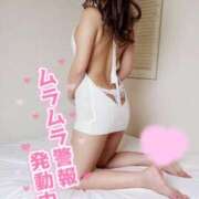 ヒメ日記 2025/03/27 07:31 投稿 クラン【求められたら何度でも】 ドMなバニーちゃん和歌山店