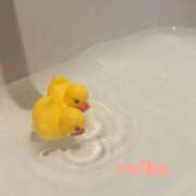 ヒメ日記 2025/04/30 00:14 投稿 れいか ごほうびSPA横浜店