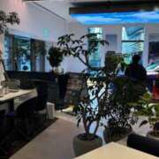 ヒメ日記 2025/03/25 20:46 投稿 るるたん ドMな逆バニーちゃん　すすきの店