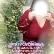 ヒメ日記 2025/03/25 08:09 投稿 あすか ぽっちゃりデリヘル倶楽部