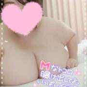 ヒメ日記 2025/08/22 07:29 投稿 あすか ぽっちゃりデリヘル倶楽部