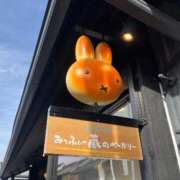 ヒメ日記 2025/04/01 11:01 投稿 椿　こころ メイドin西川口（埼玉ハレ系）