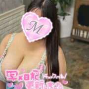 ヒメ日記 2025/11/20 01:50 投稿 もえ 乳野家