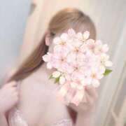 ヒメ日記 2025/05/31 14:33 投稿 ここな 柏人妻花壇