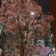 ヒメ日記 2026/04/02 13:27 投稿 ここな 柏人妻花壇