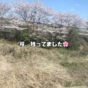 ヒメ日記 2025/04/20 07:02 投稿 まひろ ハピネス福岡