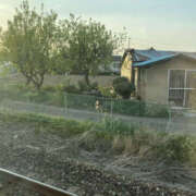 ヒメ日記 2025/04/27 23:22 投稿 まひろ ハピネス福岡