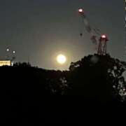 あきほ しわす… Smart(スマート)