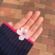 ヒメ日記 2026/02/28 14:02 投稿 あきほ Smart(スマート)