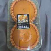 ヒメ日記 2025/03/17 11:53 投稿 めお ハニープラザ（ユメオト）