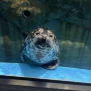 ヒメ日記 2025/06/07 18:04 投稿 めお ハニープラザ（ユメオト）