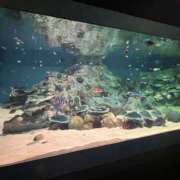 ヒメ日記 2025/06/16 21:30 投稿 めお ハニープラザ（ユメオト）