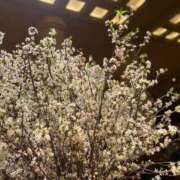 ヒメ日記 2025/03/21 14:01 投稿 せいこ 完熟ばなな神戸・三宮店