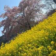 ヒメ日記 2025/03/22 11:46 投稿 せいこ 完熟ばなな神戸・三宮店