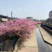 ヒメ日記 2025/03/30 14:01 投稿 せいこ 完熟ばなな神戸・三宮店