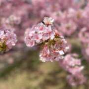 ヒメ日記 2025/04/17 13:01 投稿 せいこ 完熟ばなな神戸・三宮店