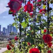 ヒメ日記 2025/06/02 21:15 投稿 せいこ 完熟ばなな神戸・三宮店