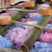 ヒメ日記 2025/06/06 17:44 投稿 せいこ 完熟ばなな神戸・三宮店