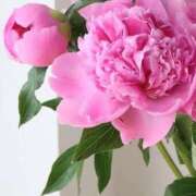 ヒメ日記 2025/06/19 11:45 投稿 せいこ 完熟ばなな神戸・三宮店