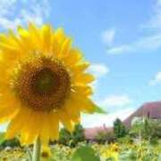 ヒメ日記 2025/07/28 15:02 投稿 せいこ 完熟ばなな神戸・三宮店