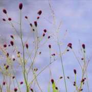 ヒメ日記 2025/09/20 10:01 投稿 せいこ 完熟ばなな神戸・三宮店