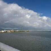 ヒメ日記 2025/12/28 11:01 投稿 せいこ 完熟ばなな神戸・三宮店