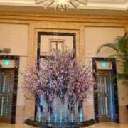 ヒメ日記 2026/03/25 15:08 投稿 綾松 レイカ 名古屋貴楼館